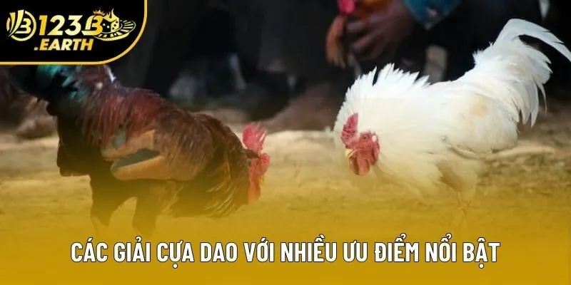 Các giải cựa dao với nhiều ưu điểm nổi bật