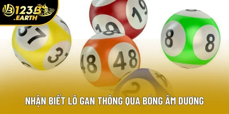 Nhận biết lô gan thông qua bóng âm dương