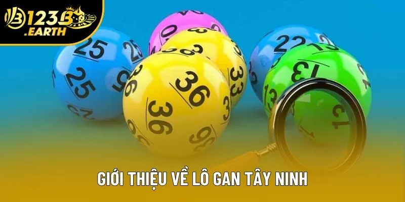 Giới thiệu về lô gan Tây Ninh