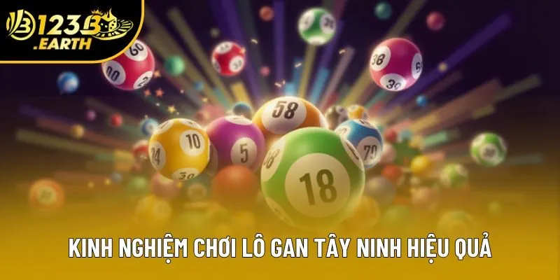 Kinh nghiệm chơi lô gan Tây Ninh hiệu quả